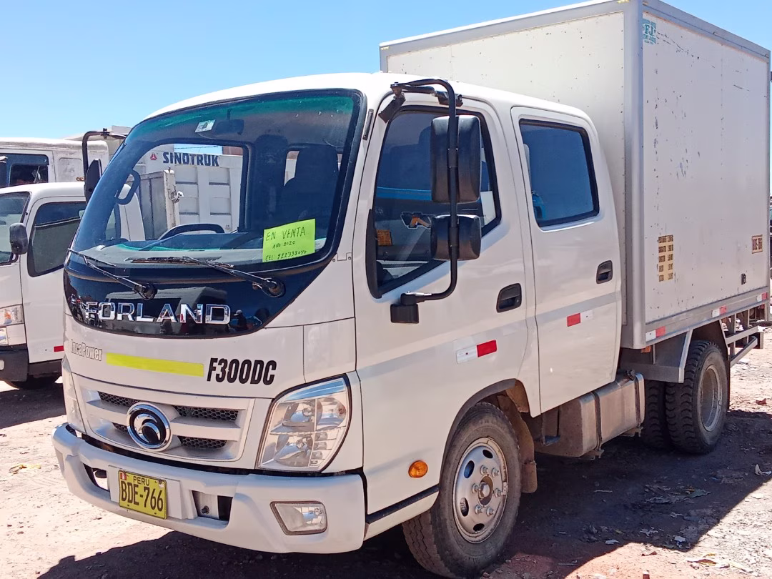 FORDLAND  F300DC 2020 — foto 3