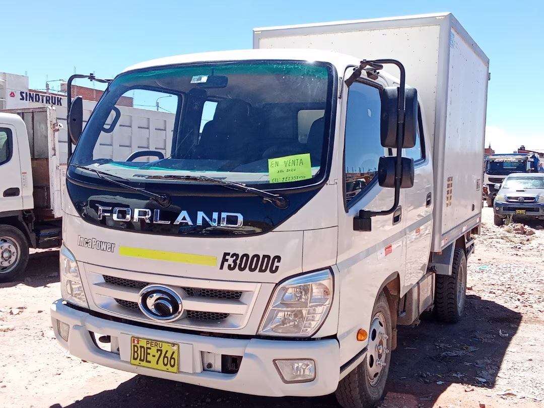 FORDLAND  F300DC 2020 — foto 2