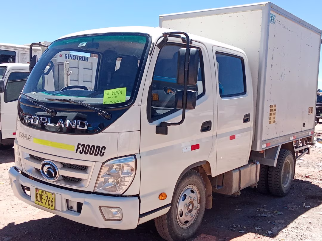FORDLAND  F300DC 2020 — foto 5