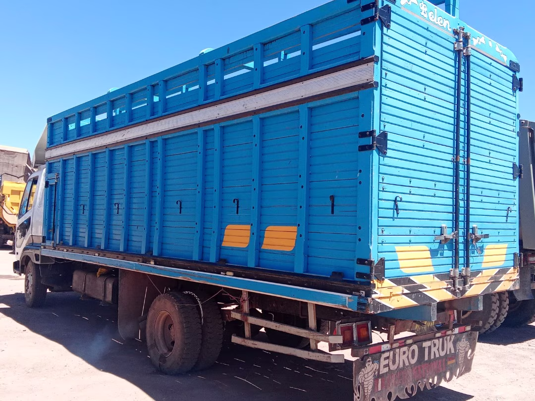 MITSUBISHI FUSO  1995 — foto 4
