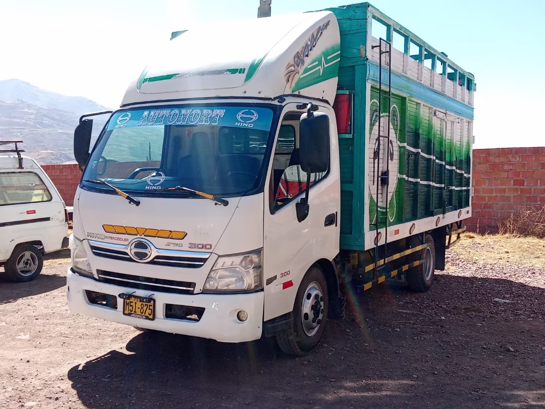 HINO DUTRO 300 2014 — foto 3