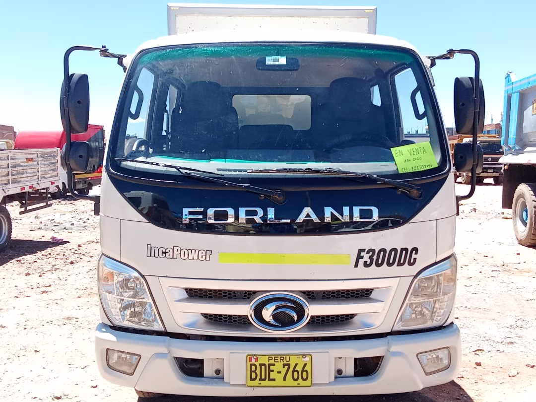 FORDLAND  F300DC 2020 — foto 4
