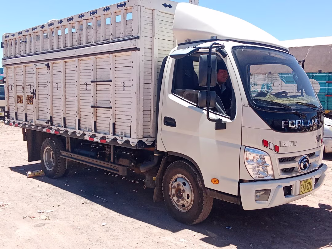 FORDLAND F400 2022 — foto 1